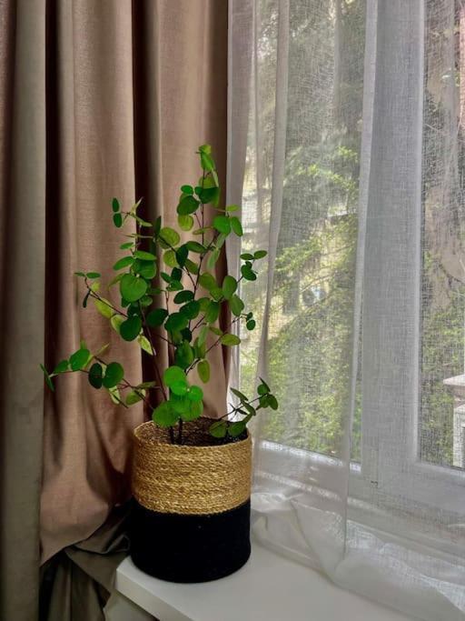 Rizz Apartament Tirana