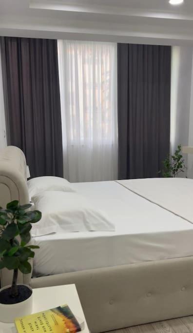 Rizz Apartment Tirana